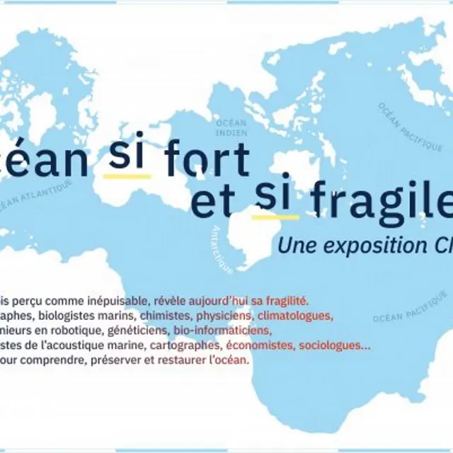 Exposition L'Océan, si fort et si fragile_Nice