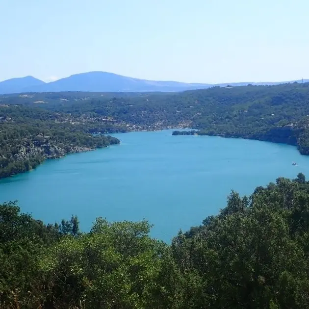 Remonter le temps : sortie flore et géologie_Esparron-de-Verdon