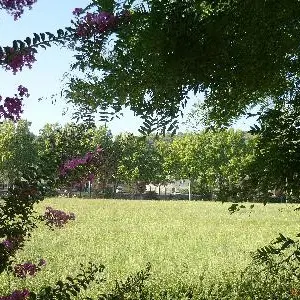 13T2001390_1_WEB.jpg