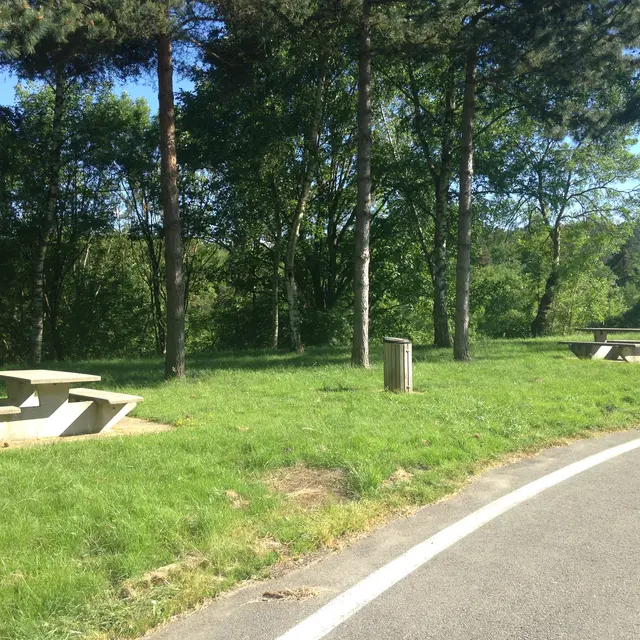 aire de pique nique St julien la Vêtre