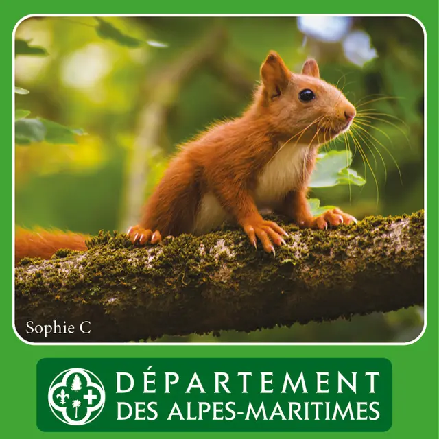 Sortie nature Traces et indices de Vaugrenier _Villeneuve-Loubet