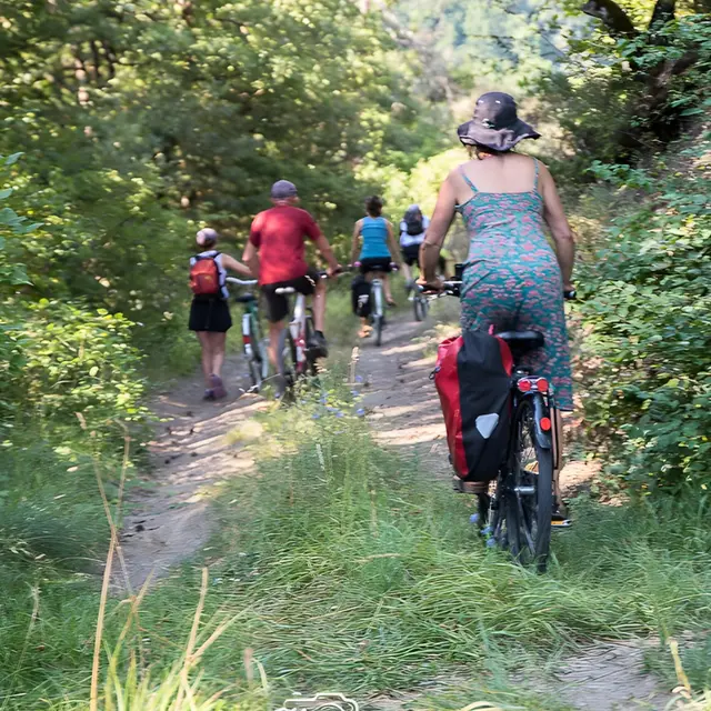 Les mots à vélo_Aix-en-Provence