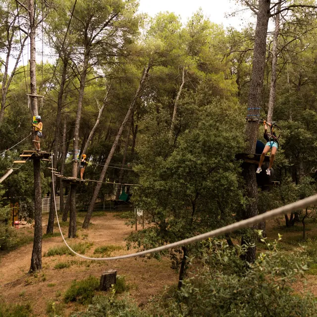 Tyroliennes géantes