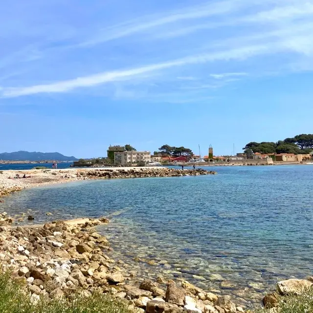 Dog Beach Bandol