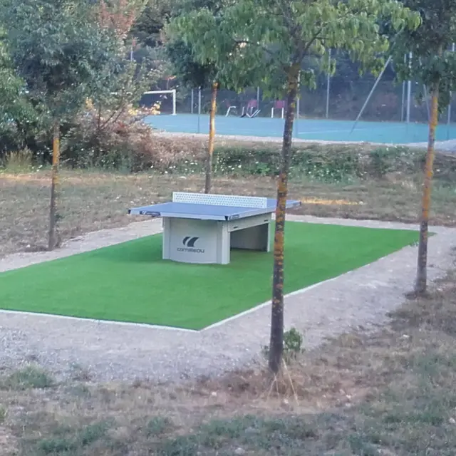 Table de ping-pong