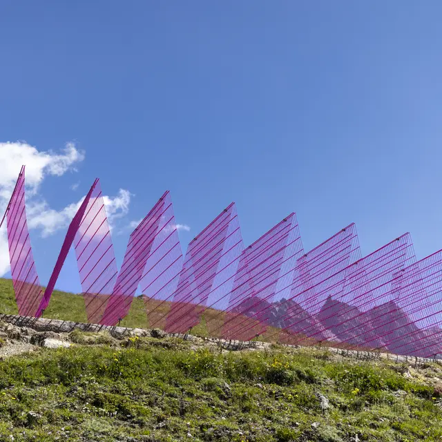 3-D Sculpture Park