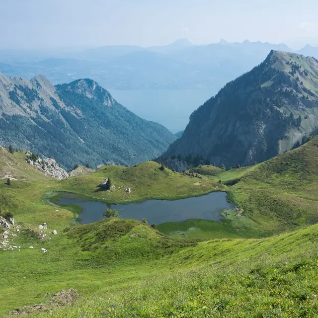 De Cornette de Bise au Lac Léman