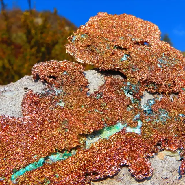 Balade géologique_Daluis