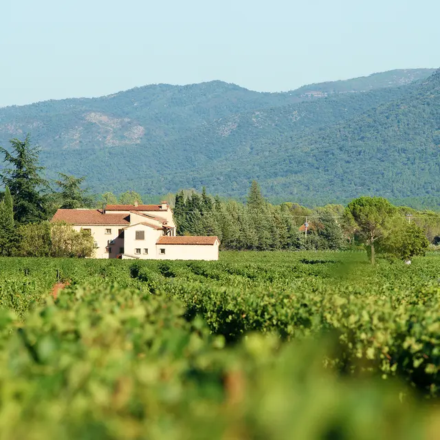 Chateau de L'Esparron_Gonfaron