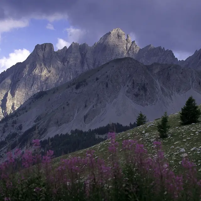Col des champs colmars  Haut Verdon