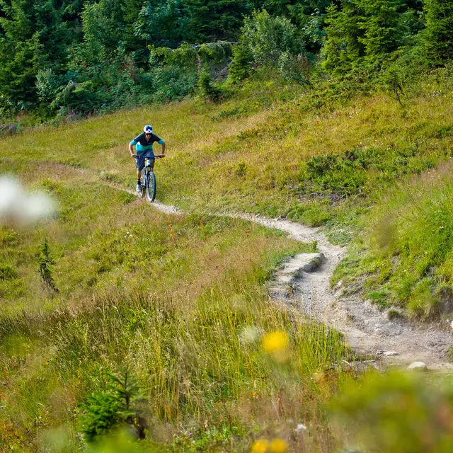 Domaine VTT de Châtel