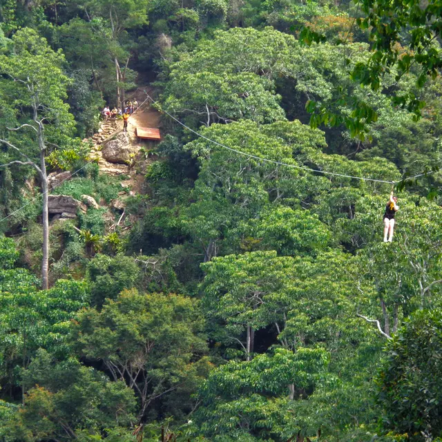 La Belle Verte Canopy Tours