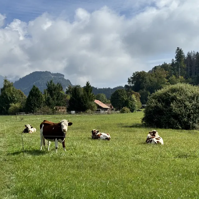 Sentier de randonnée - Les Balcons des Grands Prés - Circuit 3_Saint-Jean-de-Tholome