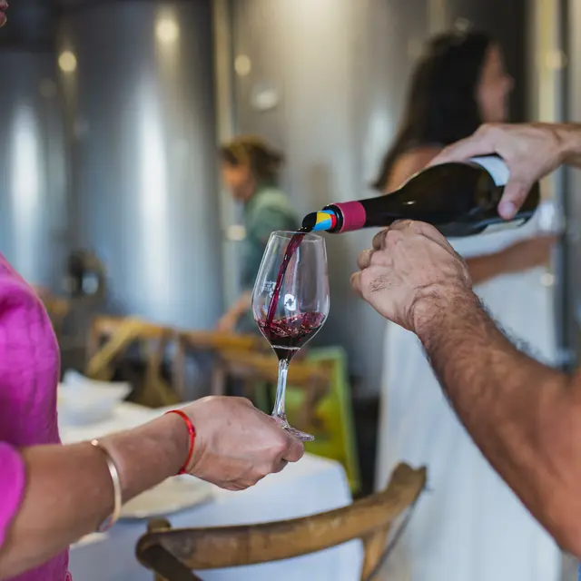 Séjours dans des vignobles gariguettes dégustation