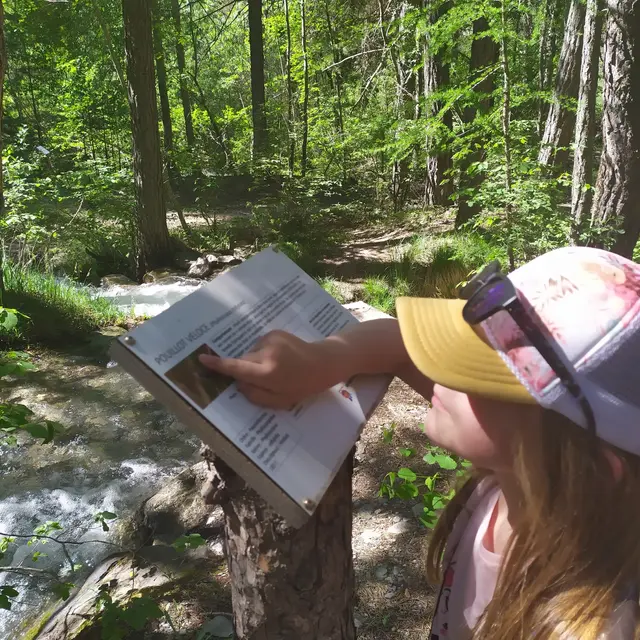 Sentier Le Refuge aux oiseaux