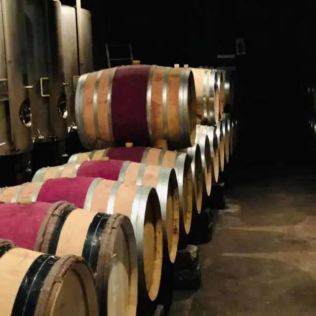 Domaine de la Solitude - La cave