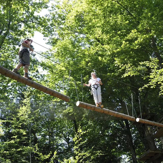 Parcours accrobranche
