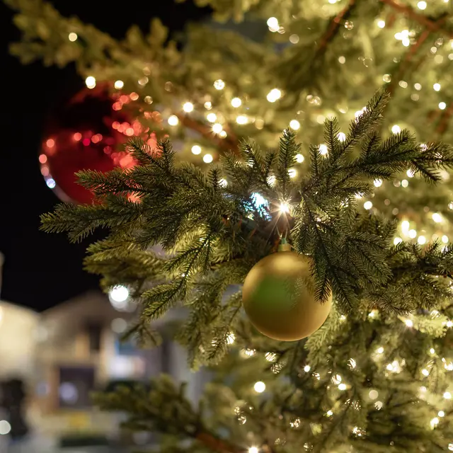 Illuminations de noël