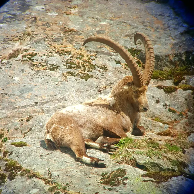 Qui va là ?_Sallanches