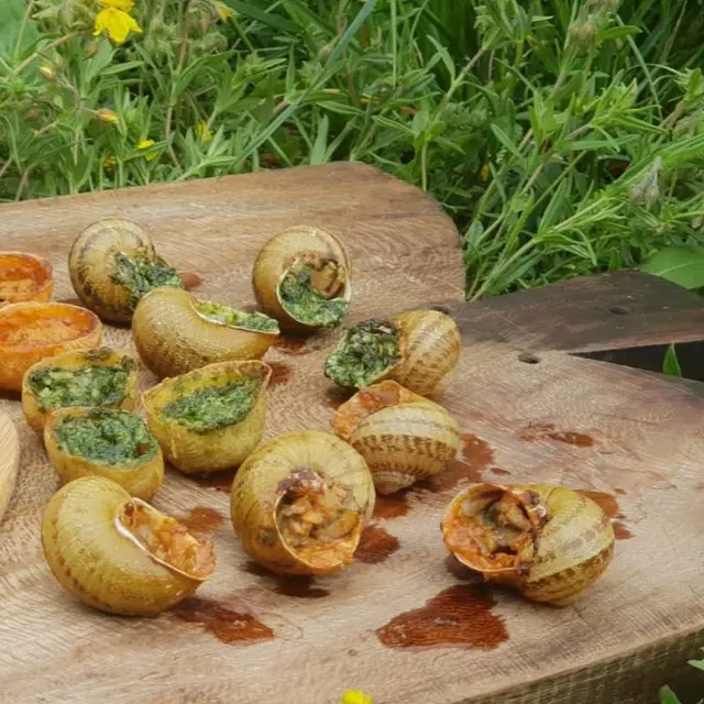 Ode à l'escargot