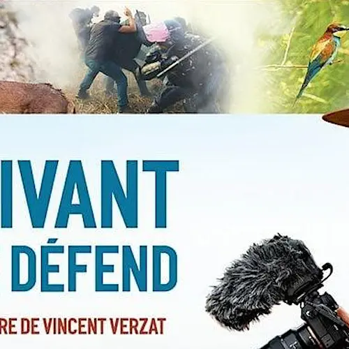 Ciné-débat sur le gypaète_Sallanches