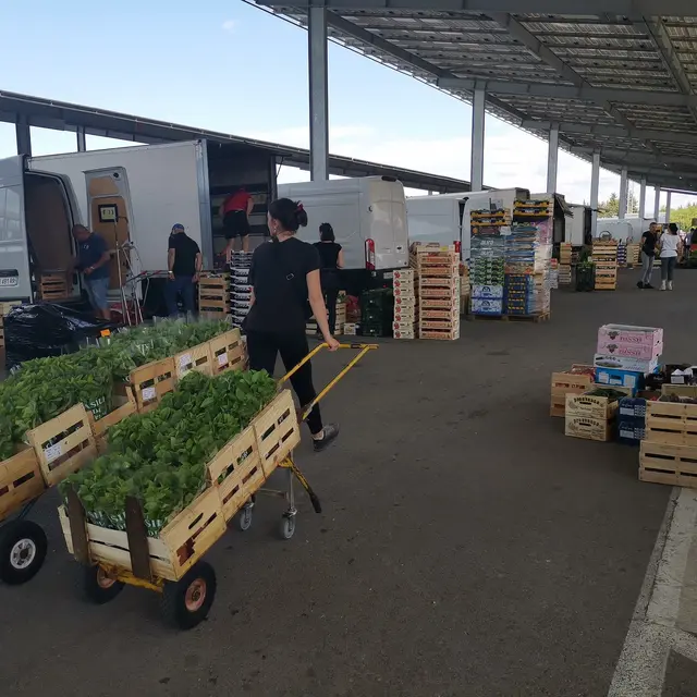 Marché Fruits & Légumes au Gros St Etienne du Grès