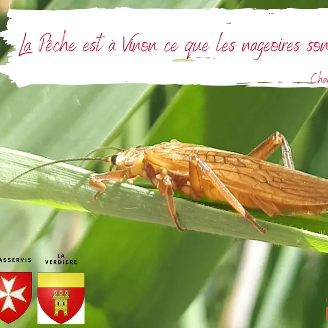 Teaser AAPPMA du Bas Verdon