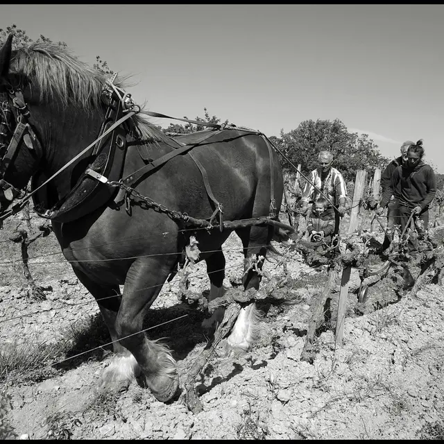 Domaine Val de Combrès