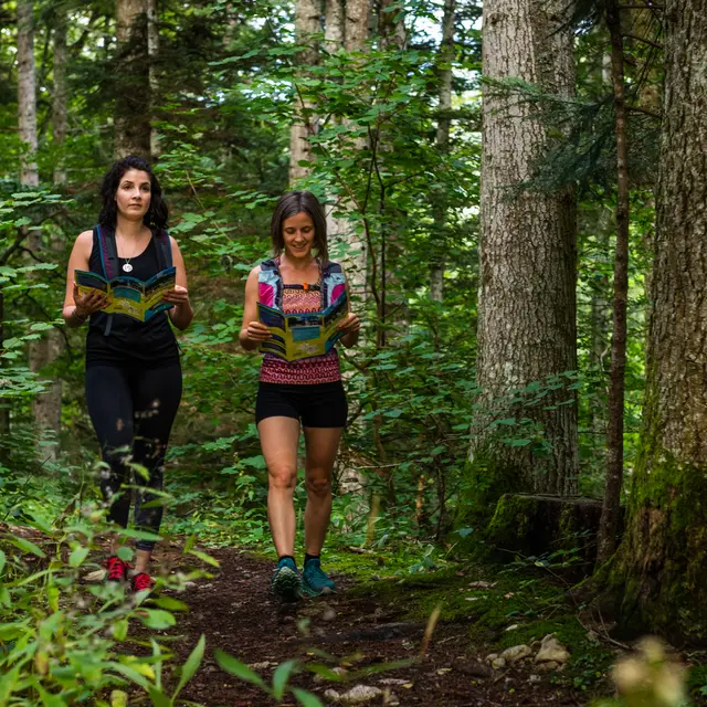 Parcours d'orientation sportif Trail - le Gros Caillou_Les Sept Laux Prapoutel