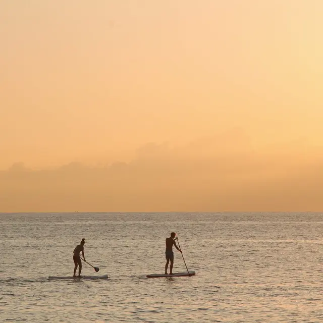 Paddle