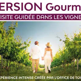 Immersion gourmande : Balade dans les vignes_Sainte-Maxime