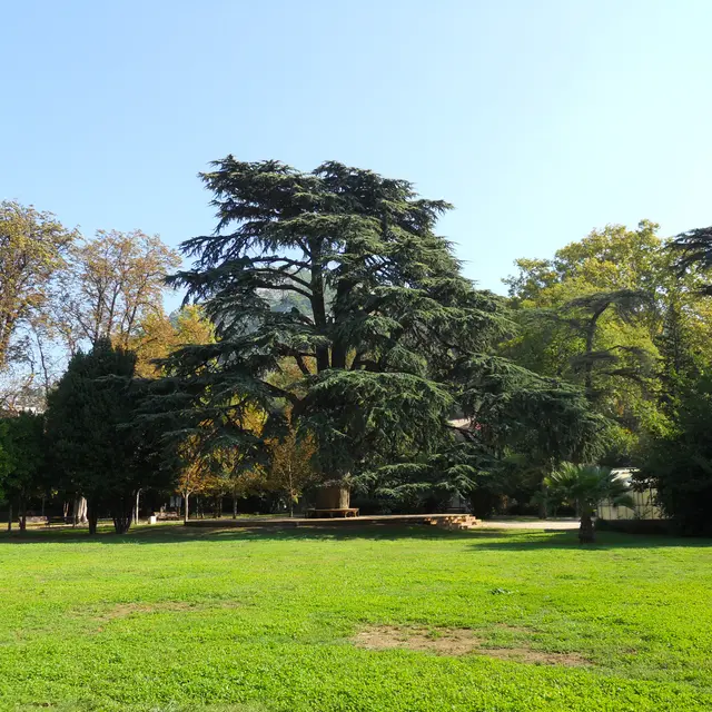 Jardin du Las