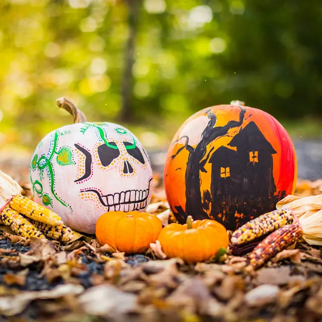 Halloween à la ferme de Bozzi_Ambronay