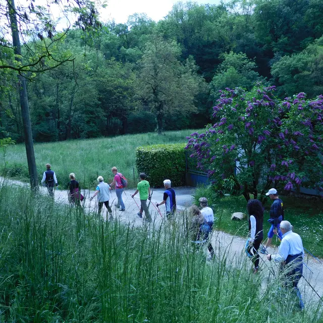 parcours marche nordique ternier