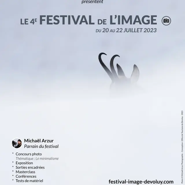 Affiche festival de l'image