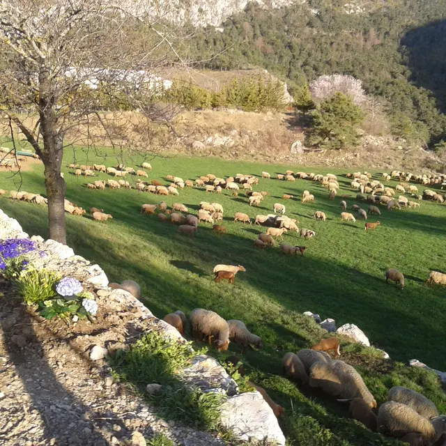 Ferme de séjour Rebuffel