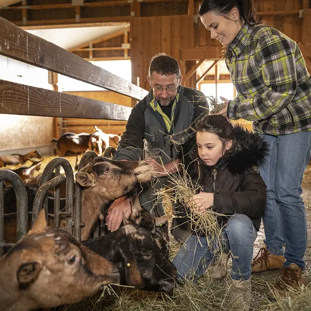 Accueil à la Chèvrerie de Vesonne_Faverges-Seythenex