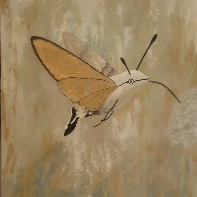 Porcelaine ou Moro Sphinx sans peinture médiathèque de Tourrettes