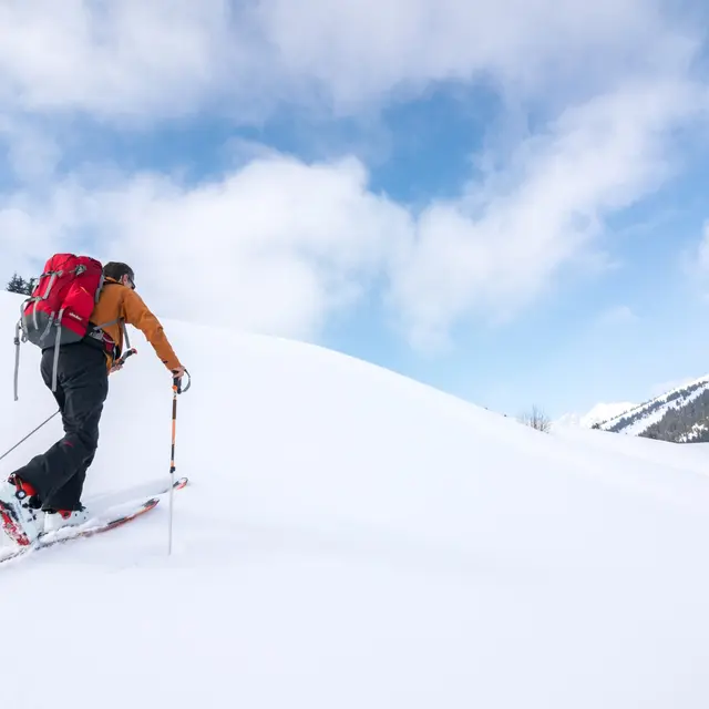 Ski de randonnée