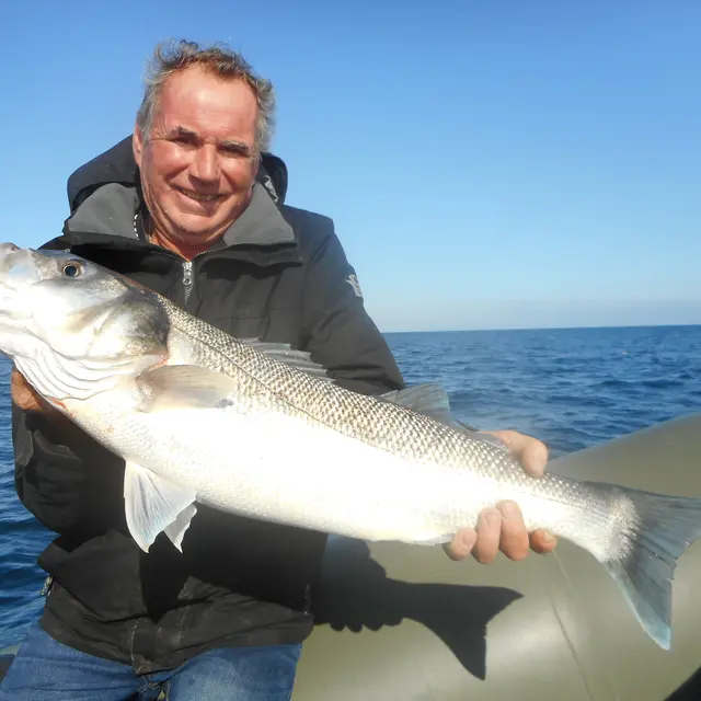 Pêche en mer aux leurres