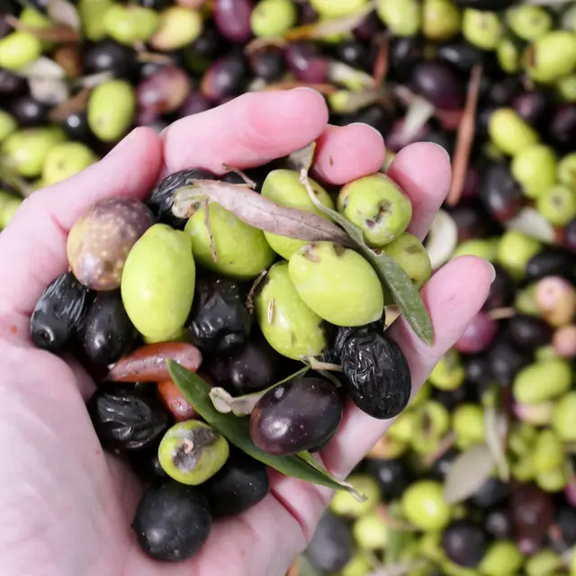 Le Moulin de l'Argens_Les Arcs sur Argens