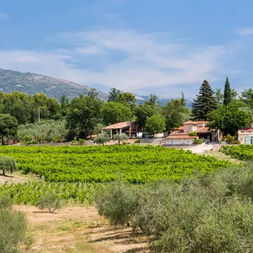 visite de la Passion - cuvée FAMILIALE_Seillans