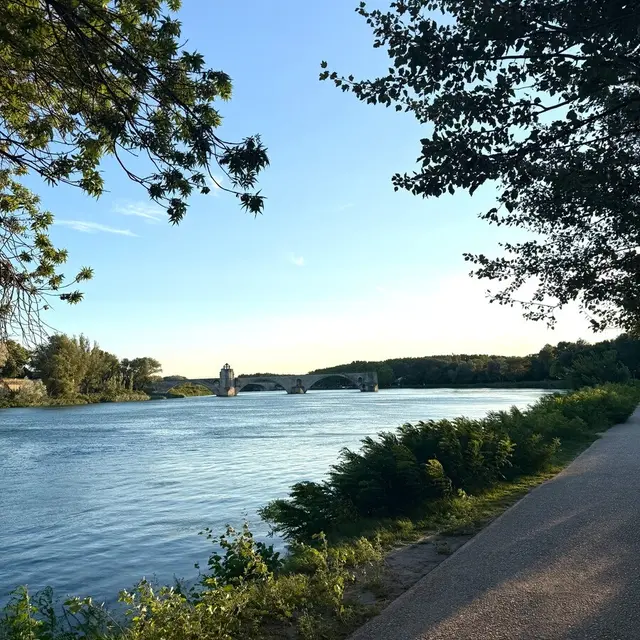 Ile de la Barthelasse