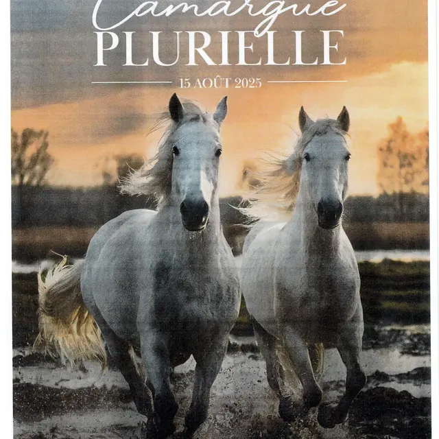 Camargue plurielle Espace terroir Camargue_Saintes-Maries-de-la-Mer