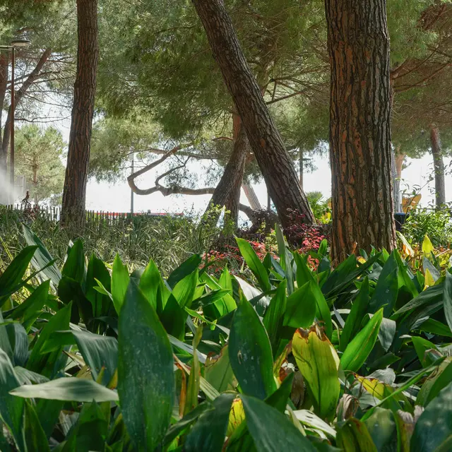 Jardin de la Pinède Antibes Juan-les-Pins