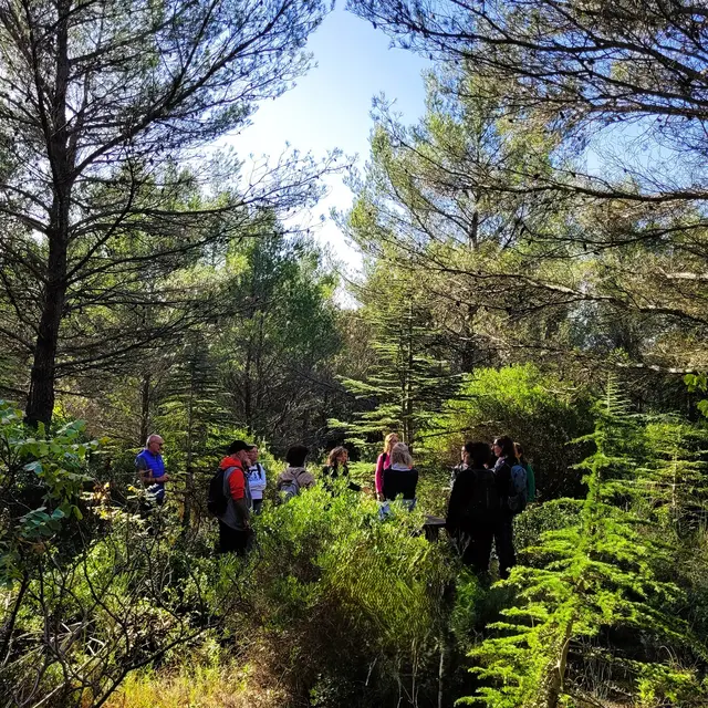 Balade immersive au Mont Faron_Toulon