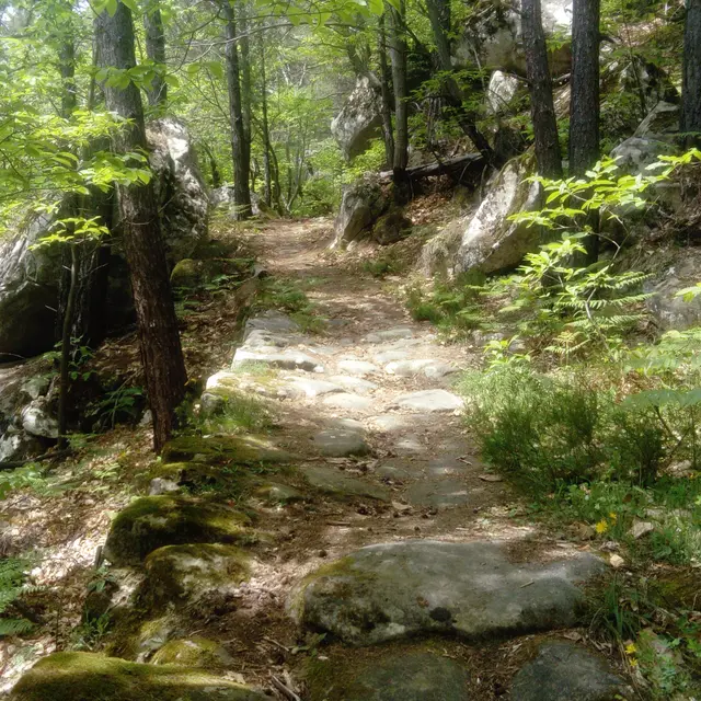 La voie romaine d'Argenton à Annot