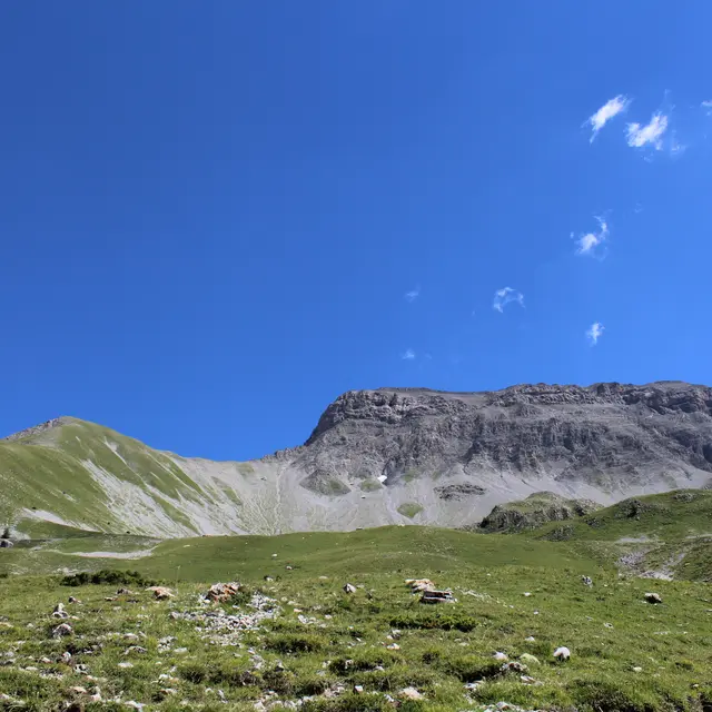 Le Tour de Tourtourel n°28