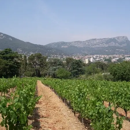 Domaine du Clos Lamalgue