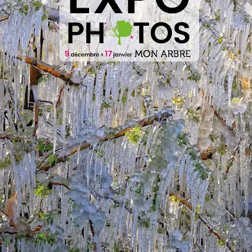 Mon Arbre, exposition de photographies_Gréoux-les-Bains